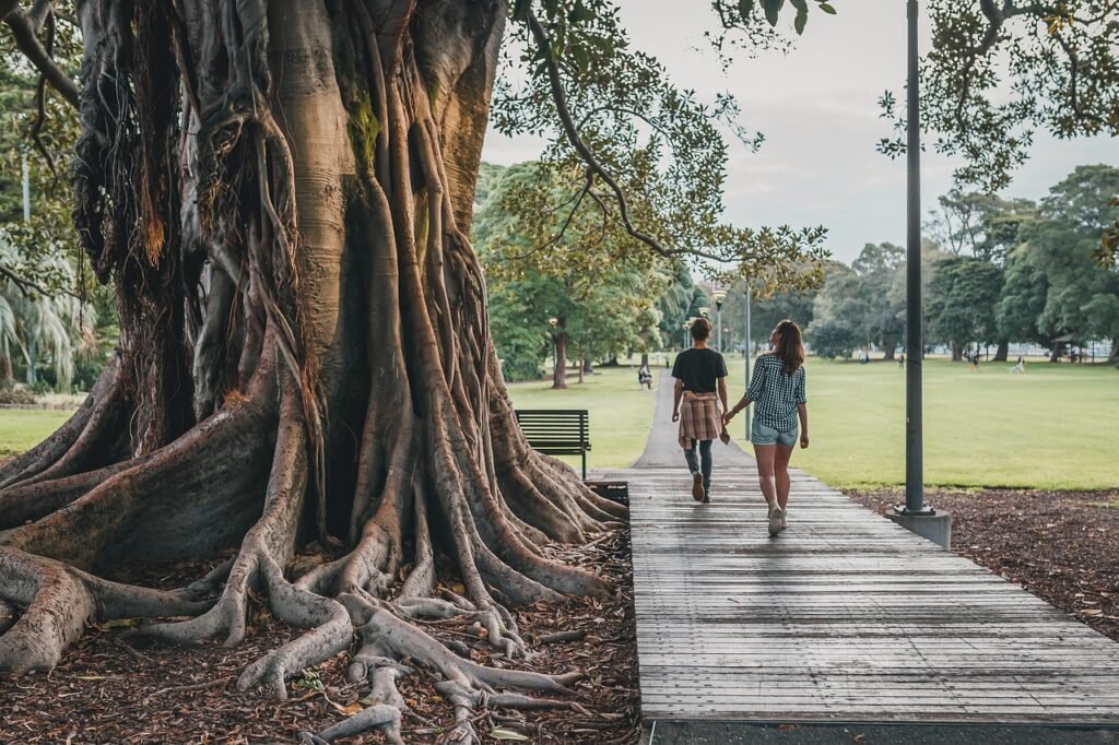 tree, park, nature-5102896.jpg